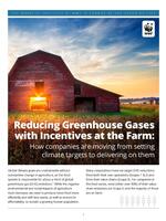 Reducing Greenhouse Gases with Incentives at the Farm: How companies are moving from setting climate targets to delivering on them Brochure