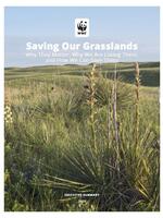 Saving Our Grasslands: Summary of Recommendations Brochure