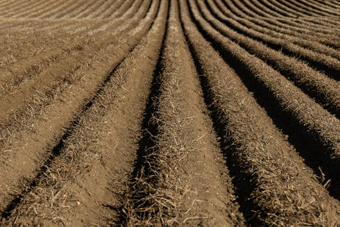 Farmland in the UK.