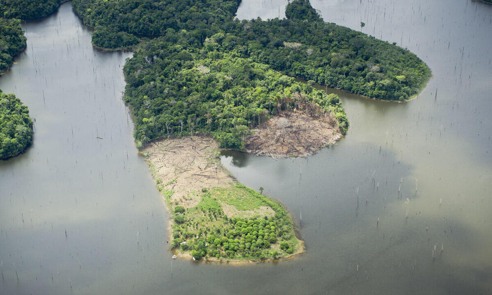 Amazon Places Wwf