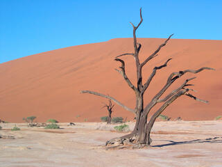 Namibia, southwest Africa