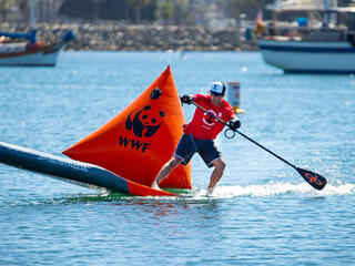 Paddle boarder