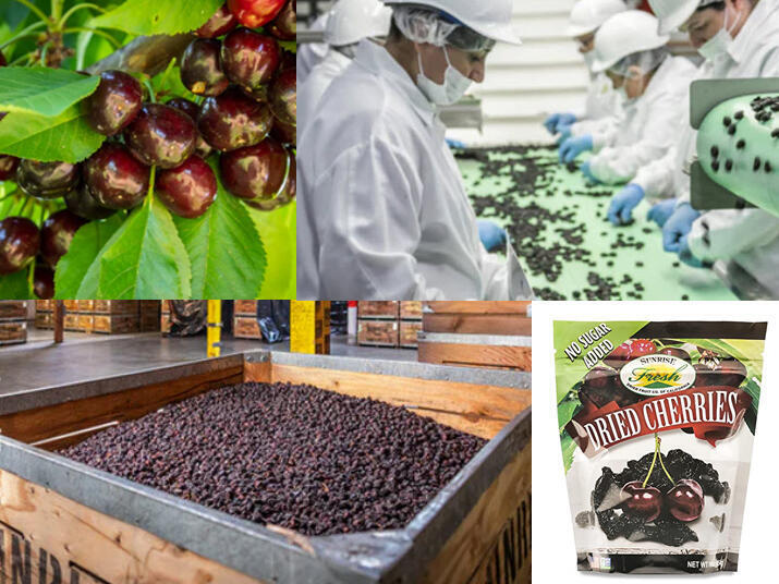 four pictures showing cherries on a tree, cherries sorted on a conveyer belt, dried cherries in bulk, and a finished package of dried cherries for retail