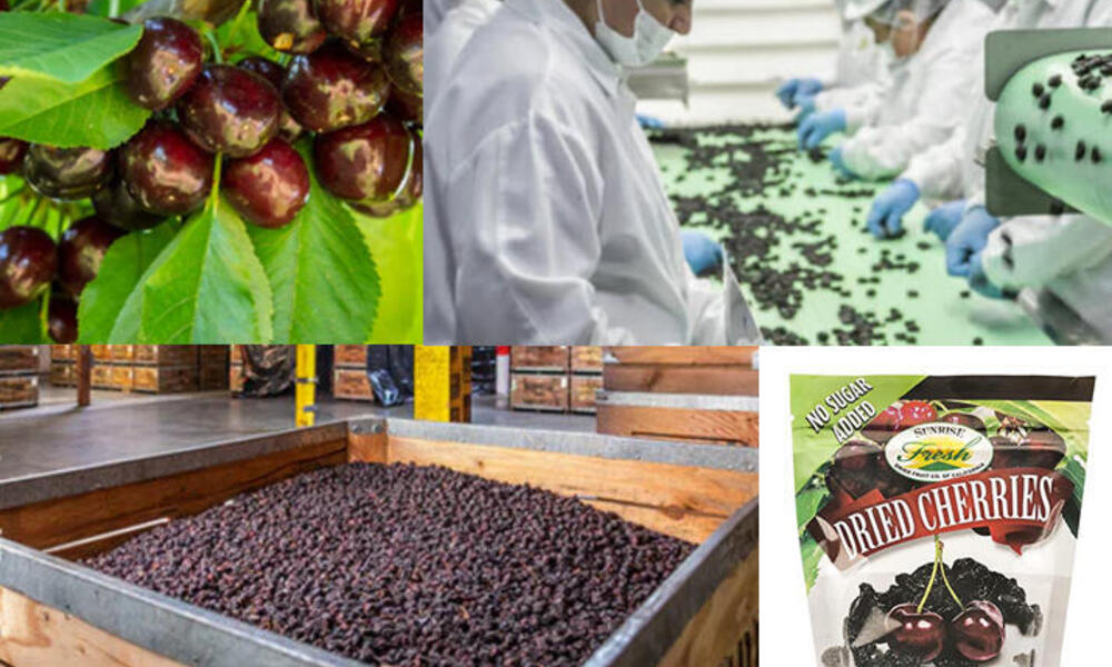 four pictures showing cherries on a tree, cherries sorted on a conveyer belt, dried cherries in bulk, and a finished package of dried cherries for retail