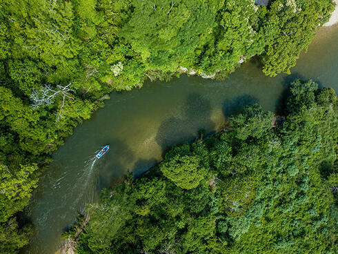 Aerial photo of a boat on a river in the jungle