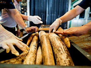 Thai officials seize shipment of illegal African elephant tusks.