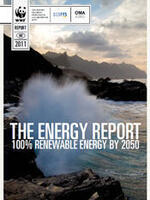 The Energy Report Brochure