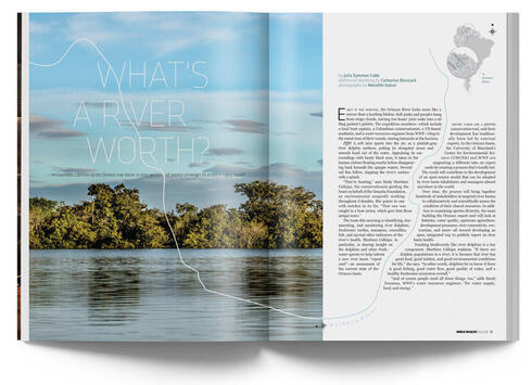 River article in WW Magazine