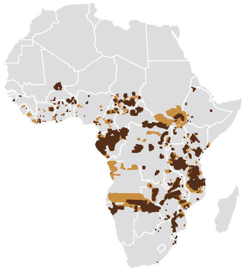 where do elephants live map