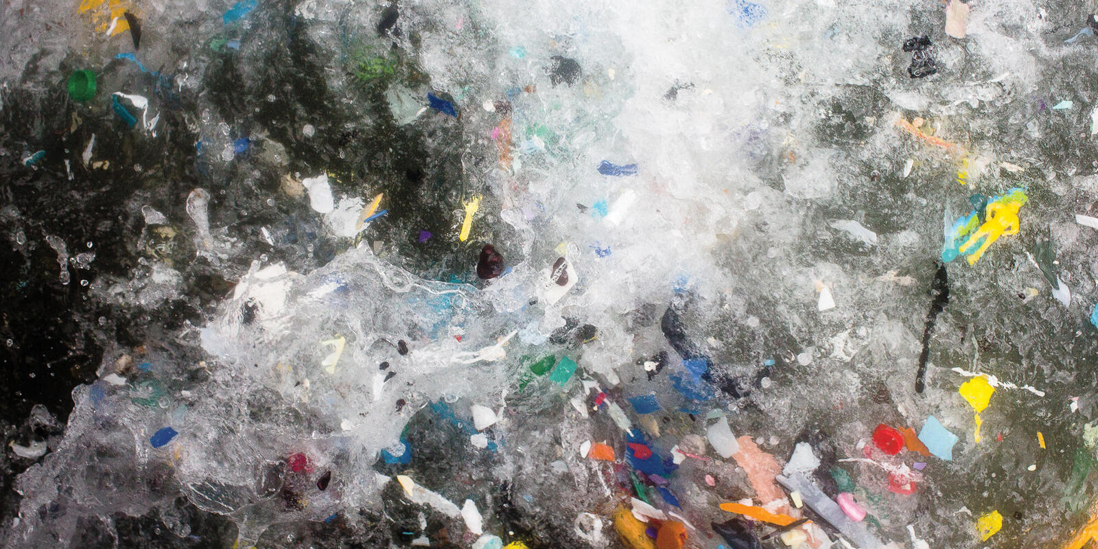 Plastic in the ocean | Magazine Articles | WWF