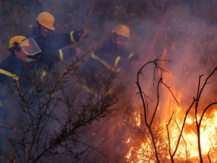 three fire fighters work to put out a forest fire