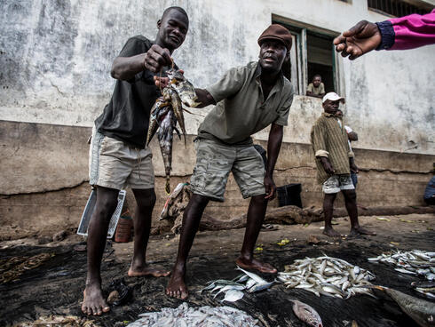 fish sale Mozambique James Morgan WW146854