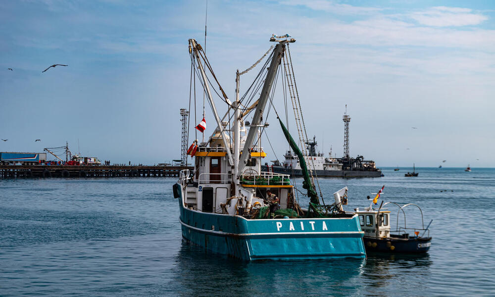 The rear view of a large blue industrial fishing boat on the water