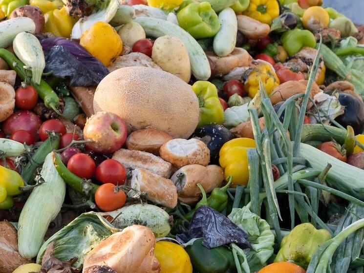 wasted food