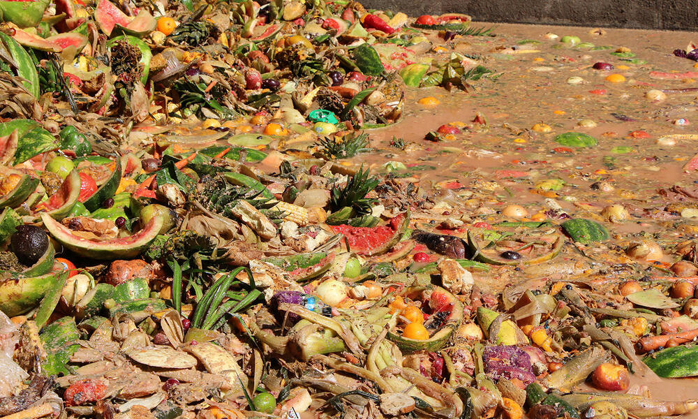 Turning Food Waste into Feed: Benefits and Trade-offs for Nature | Blog  Posts | WWF