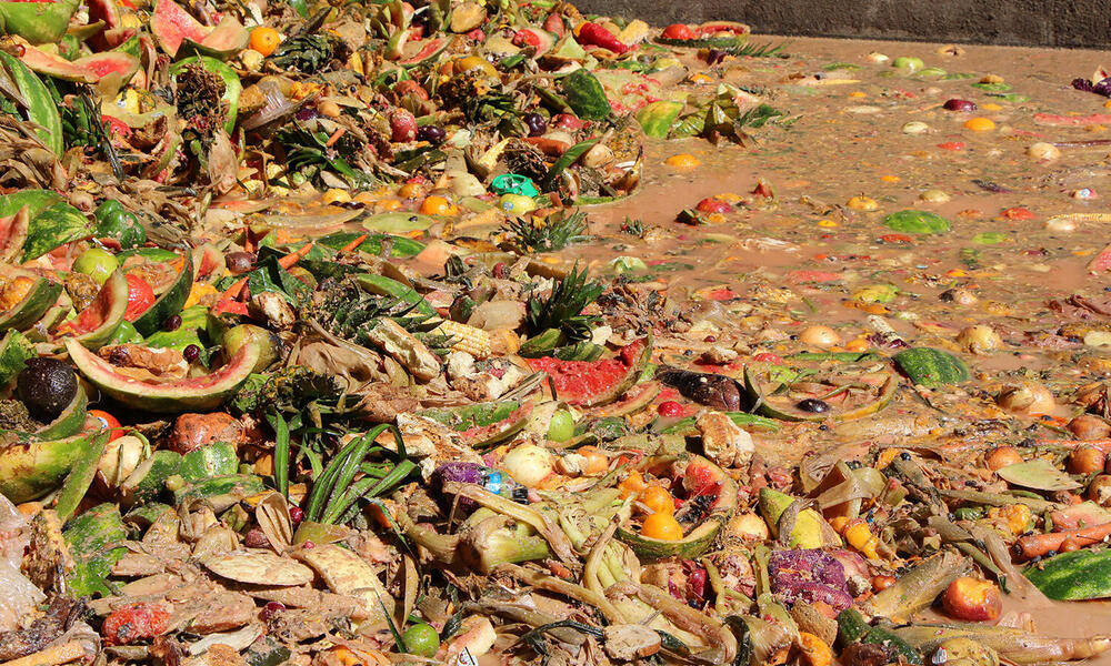 This Startup Wants to Redirect Your Food Waste to Feed Animals