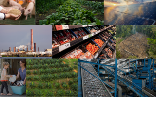several images depicting farms, energy sources, production, recycling