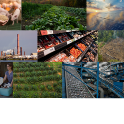 several images depicting farms, energy sources, production, recycling