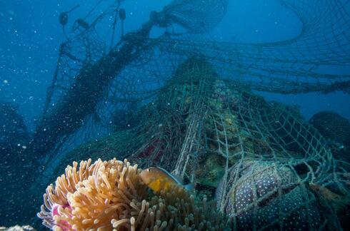 Underwater view of abandoned fishing nets caught on a coral reef