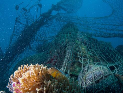 Underwater view of abandoned fishing nets caught on a coral reef