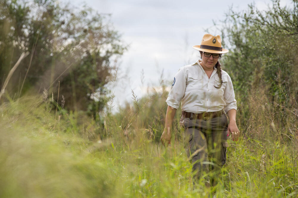 Sustainable ranching to protect a forest Magazine Articles WWF