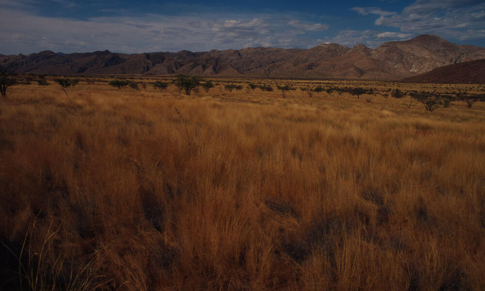 Marianfuss Valley Kunene Province Namibia 