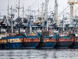 200 fishing boats were grounded because of IUU, company's license suspended. New minister of marine affairs and fisheries - Susi Pudjastuti - taking more hardine approach to fisheries law enforcement, Indonesia.