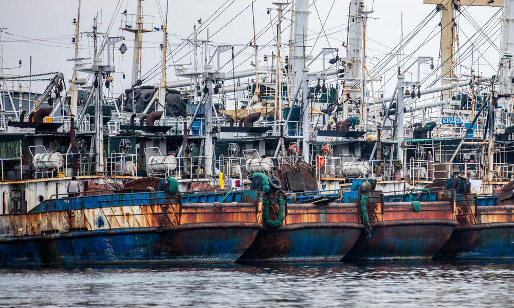 200 fishing boats were grounded because of IUU, company's license suspended. New minister of marine affairs and fisheries - Susi Pudjastuti - taking more hardine approach to fisheries law enforcement, Indonesia.