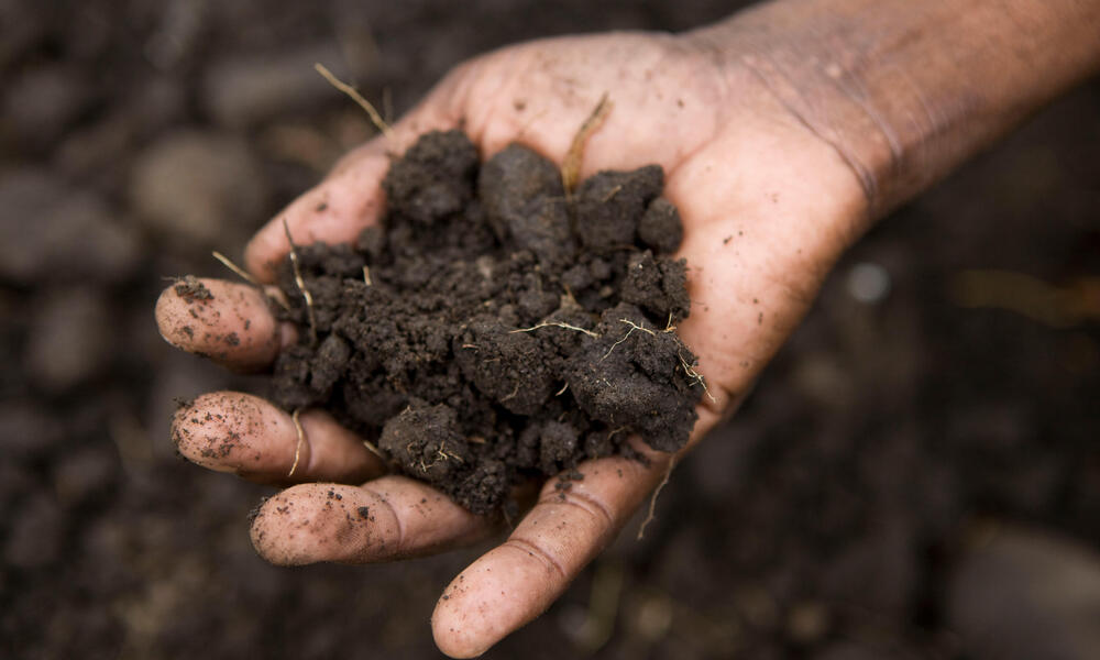 Close-up of a hand holding a pile of dirt