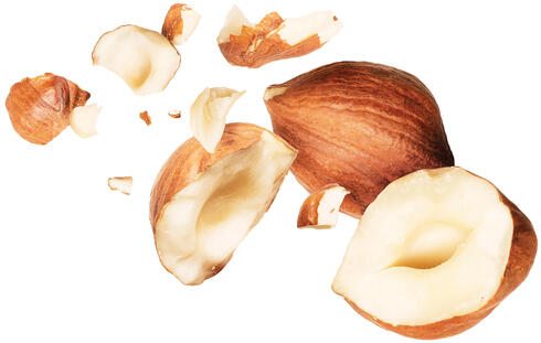 Several hazelnuts whole and broken