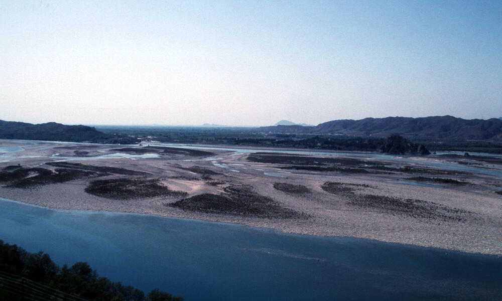 indus river dolphin habitat