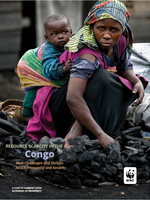 In Pursuit of Prosperity: Congo Chapter Summary Brochure