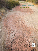 In Pursuit of Prosperity: Mexico Chapter Summary Brochure