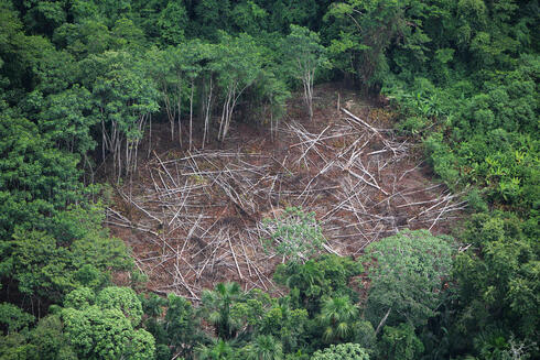 Aerial shot of deforestation in the Amazon