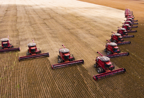 Mass soybean harvesting