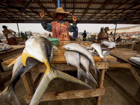 Mami Pkpone, a local fish retailer selling yellowfin tuna at Tema market, Ghana.