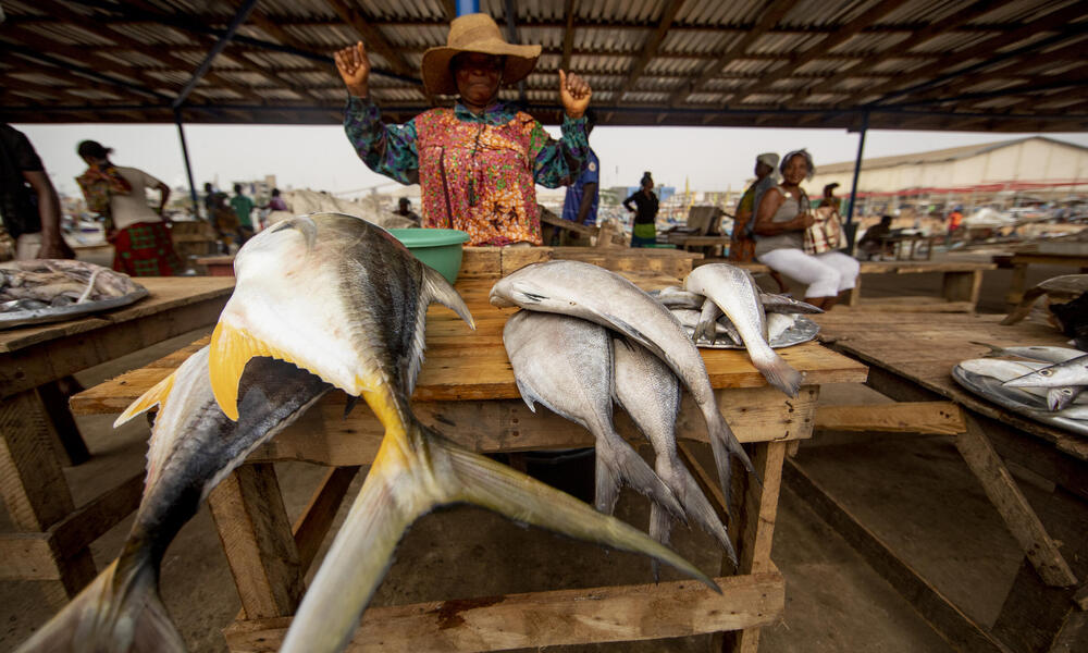 Fish markets in India driven by bycatch and sustained by subsidies