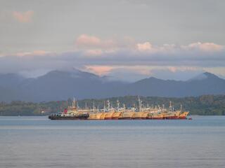 a fleet of longline fishing vessels in Suva Harbour. Viti Levu, Fiji
