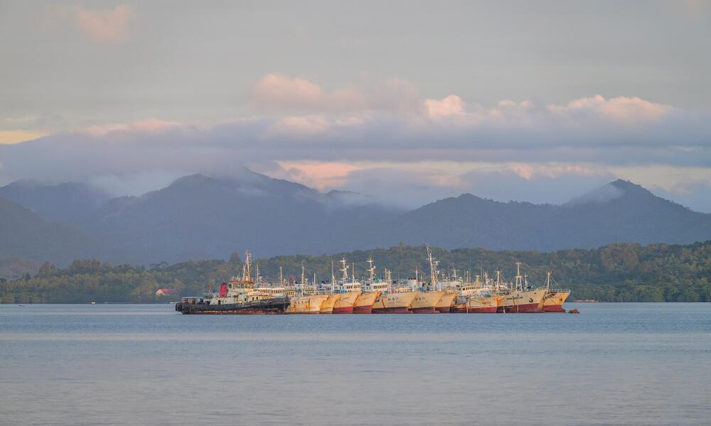 a fleet of longline fishing vessels in Suva Harbour. Viti Levu, Fiji