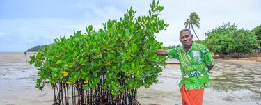 A man stands next to a young mangrove plant on the coast of Fiji