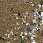 Small pieces of plastic washed up on a beach