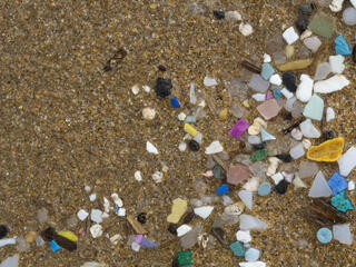 Small pieces of plastic washed up on a beach
