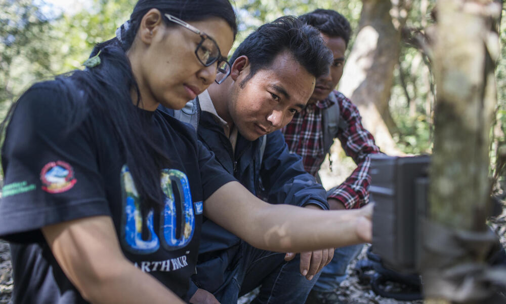 Sabita Malla (front), tiger expert at WWF Nepal, is installing a camera trap with citizen scientists responsible for monitoring tigers in the Khata Corridor. Most visible citizen scientist here is Chabbi Thara Magar.