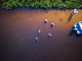 People wading in a river