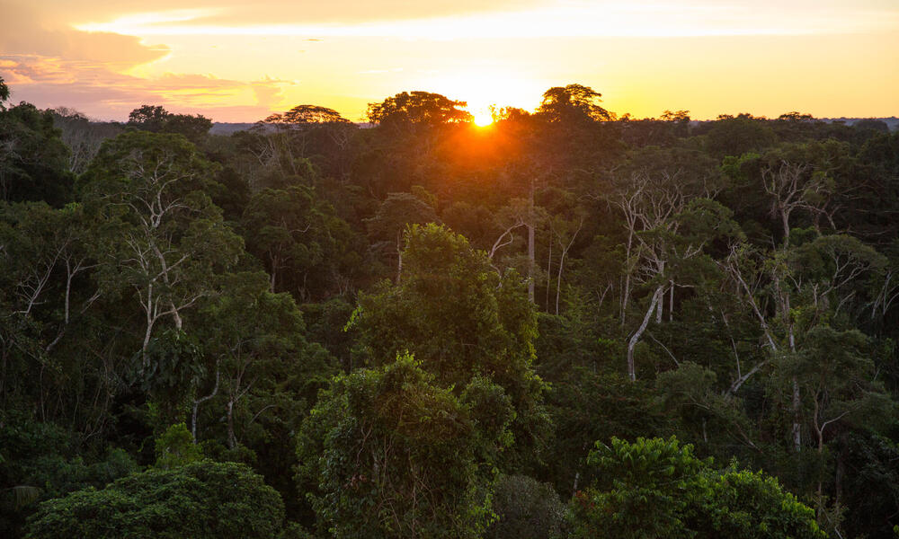 peruvian amazon sunset WW1103396 Day's Edge Productions