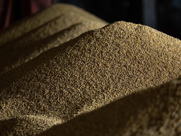 piles of soybeans