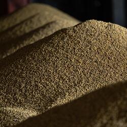 piles of soybeans 