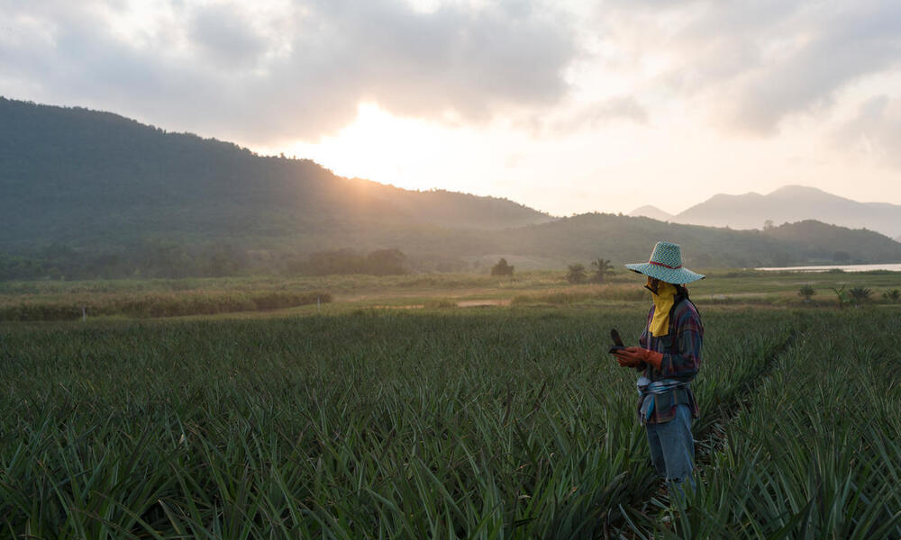 Reducing GHG Emissions Through Farm-Level Incentives - Vimarsana News
