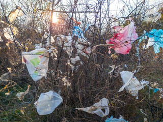 multiple plastic bags stuck in bushes