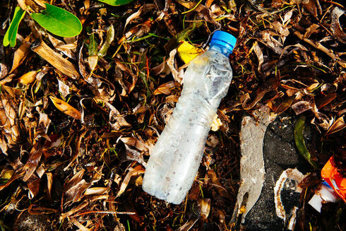 plastic on a beach Greg Armfield WW275057